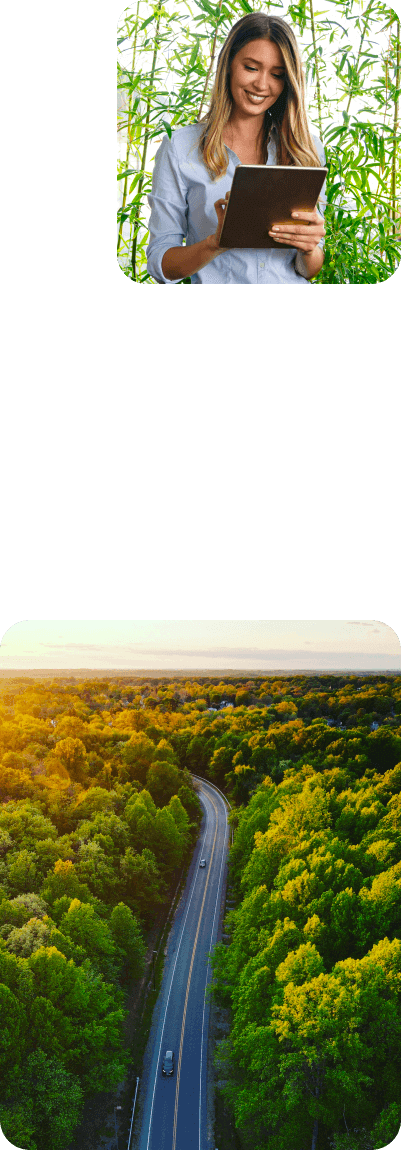Smiling woman with a tablet and a plantation behind her. A highway that passes through a forest.